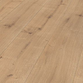 8837 NEW ENGLAND OAK